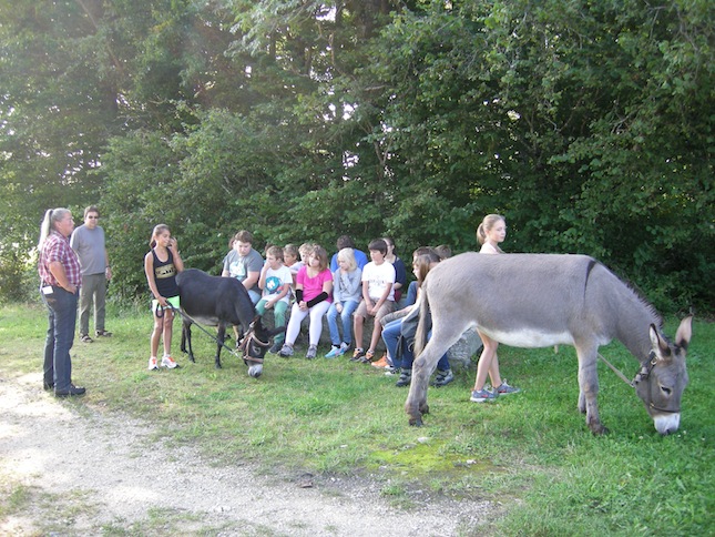 Catéchisme | Camp de cathéchisme à Prêles, 2013